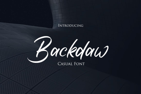 Backdaw Typeface: Elevating Handmade Brand Identity