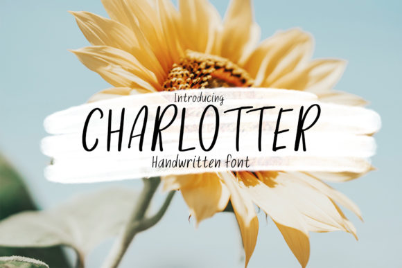 Charlotter: A Handwritten Typeface for Editorial Design