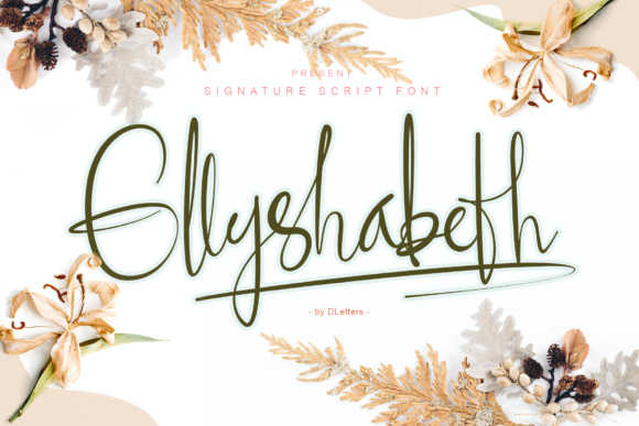 Ellyshabeth: The Elegant Script Font for Polished Branding