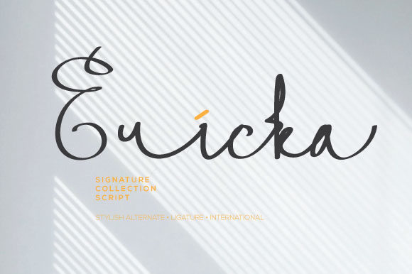 Ericka: A Designer’s Honest Review of This Script Amp