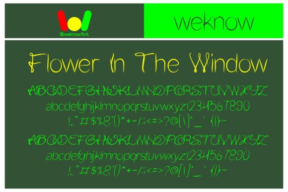 Flower in the Window: A Designer’s Review
