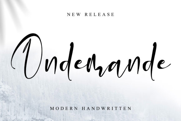 Ondemande Typeface Review: Elevating Social Campaigns With Elegant Script