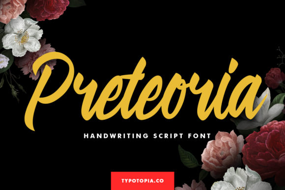 Preteoria Typeface: Elevate Your Handmade Brand Identity