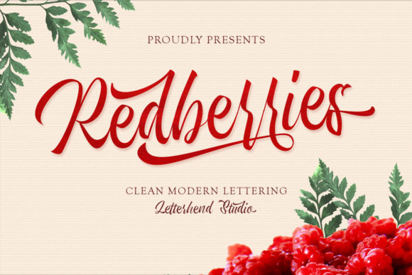Redberries Typeface Review: A Delicate Handwritten Font for Brand Identity