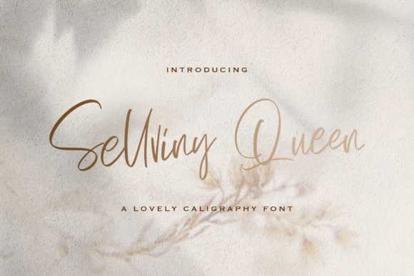 Sellviny Queen: The Script Amp Typeface for Campaign Clarity